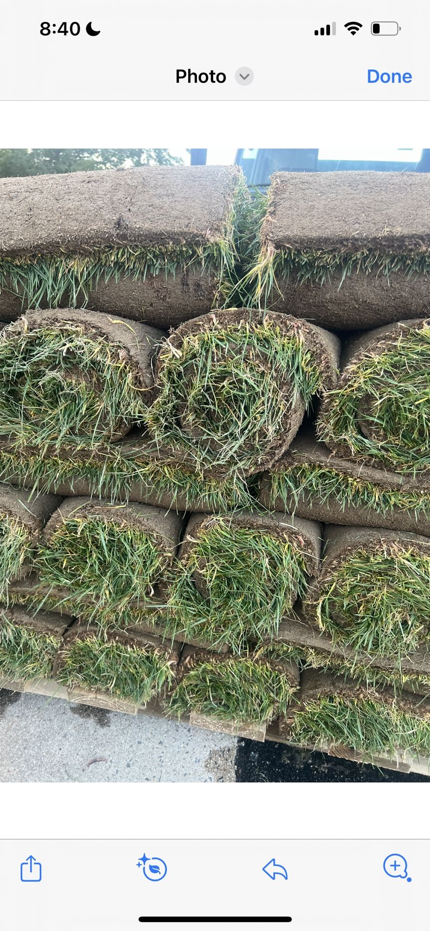 Fresh Sod