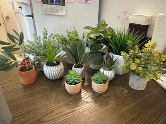 Free Decorative Faux Plants