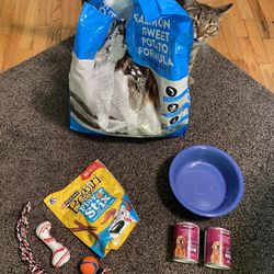 Dog Food, Bowl, Treats, & Toys