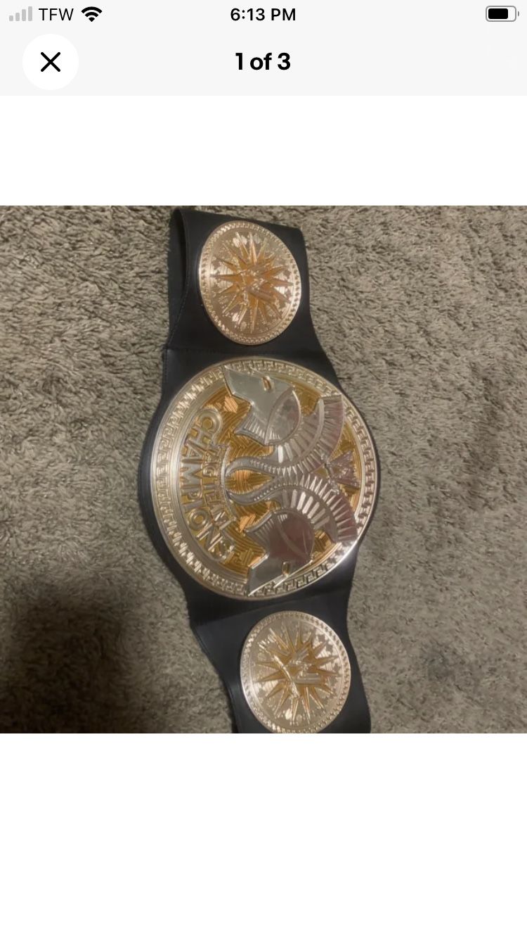 WWE Copper 2014 Tag Team Champions Belt Toy For Kids RARE