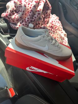Nike SB Low-Top Skate Sneakers