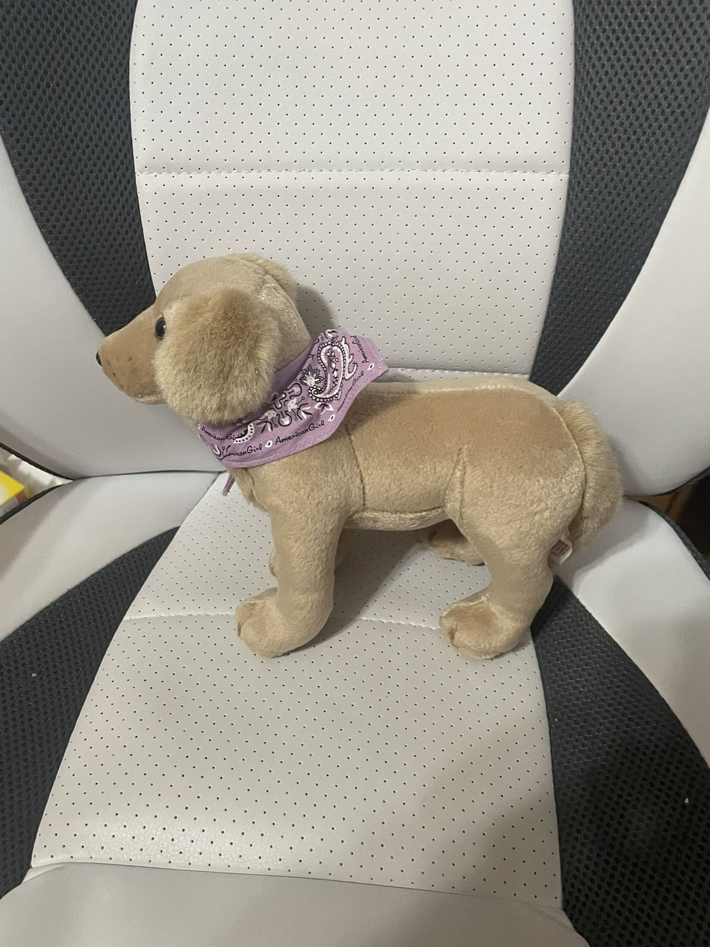 American Girl Dog “ Sandy “ For An 18” Doll