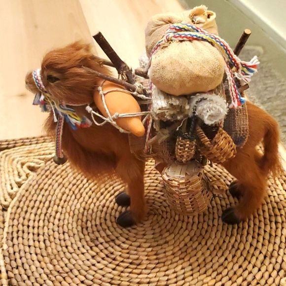 Camel