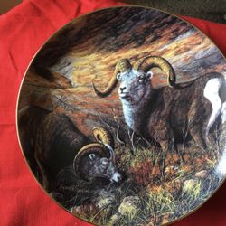 Wildlife Collector plates, The Dansbury Mint, The Grand Slam $7 OBO 