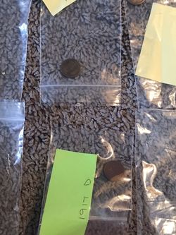 Pennies From 1914 , 1916 And 1919