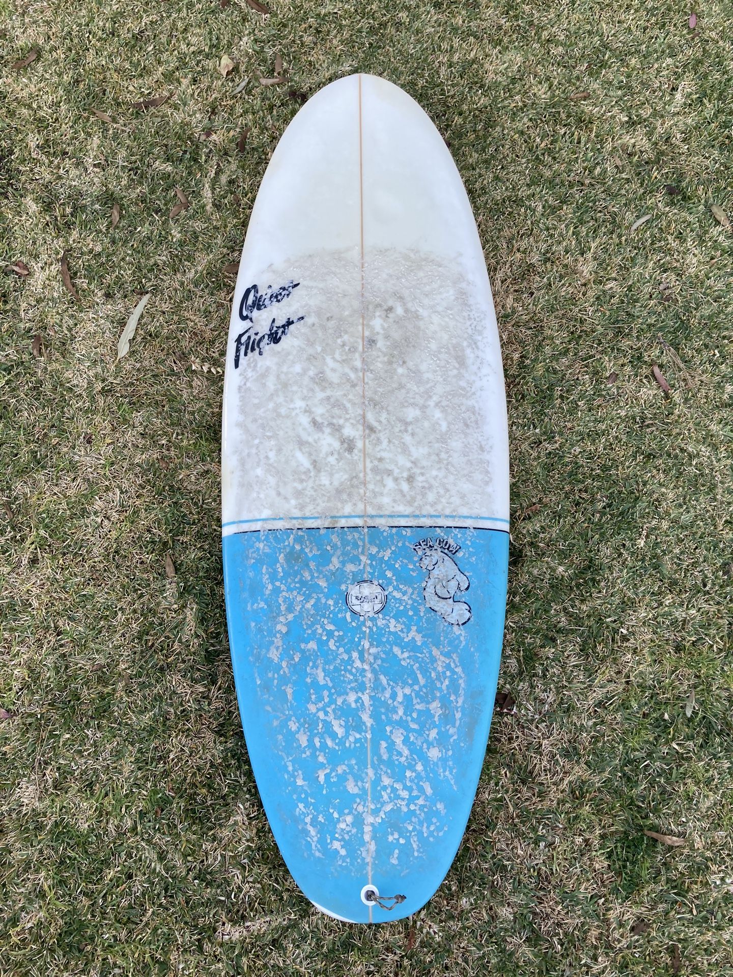 5'4” Shortboard Surfboard