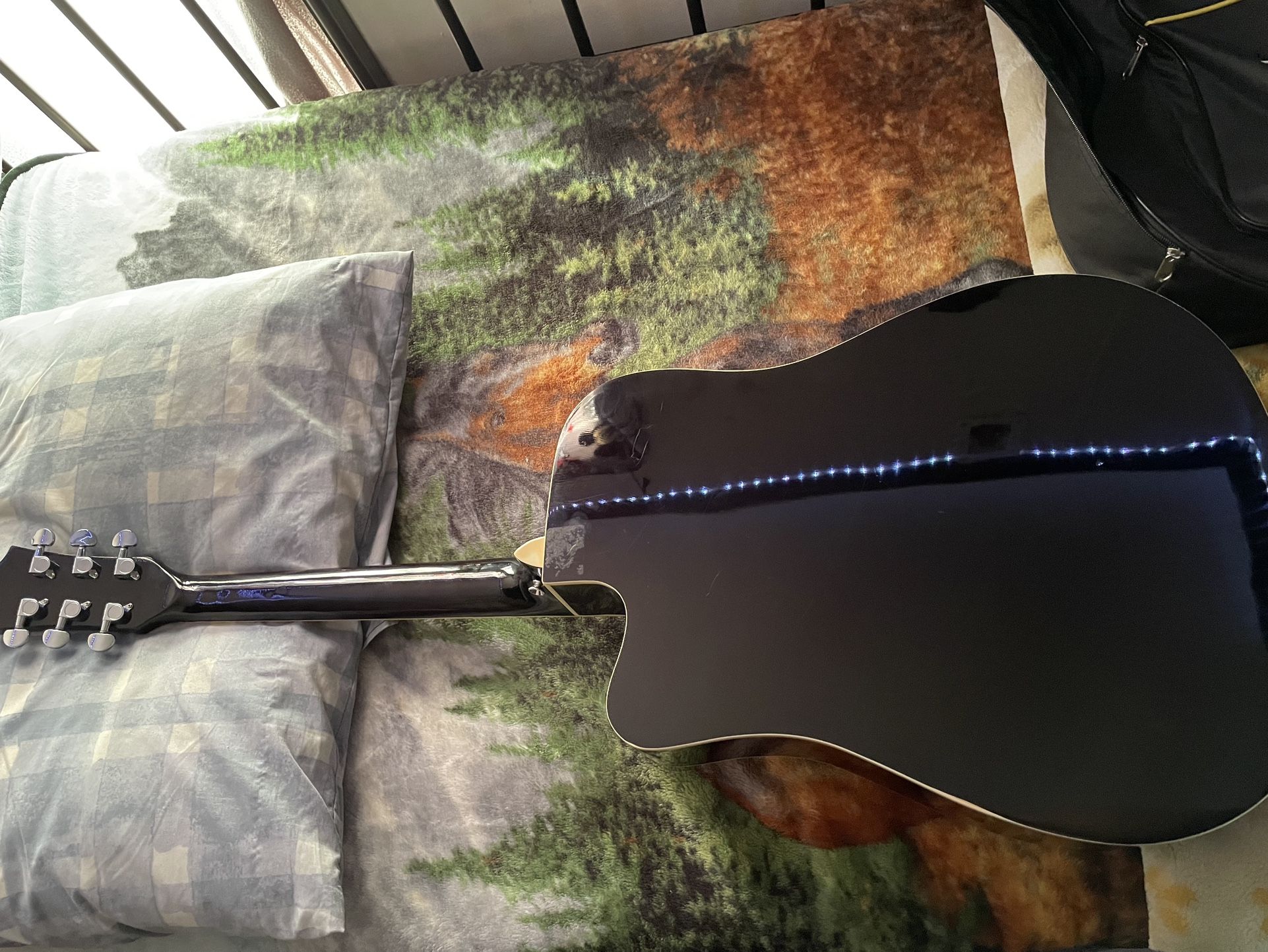 6 String Guitar