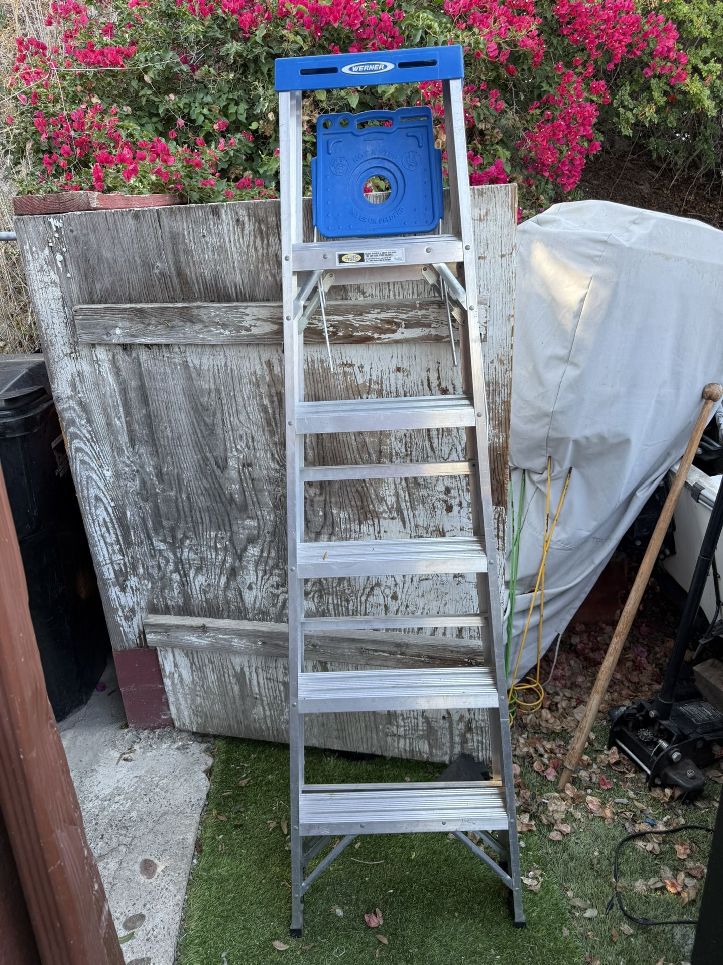 Werner 6’ Ladder
