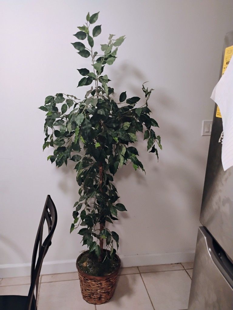 Decorating Fake Plants (Beautiful)