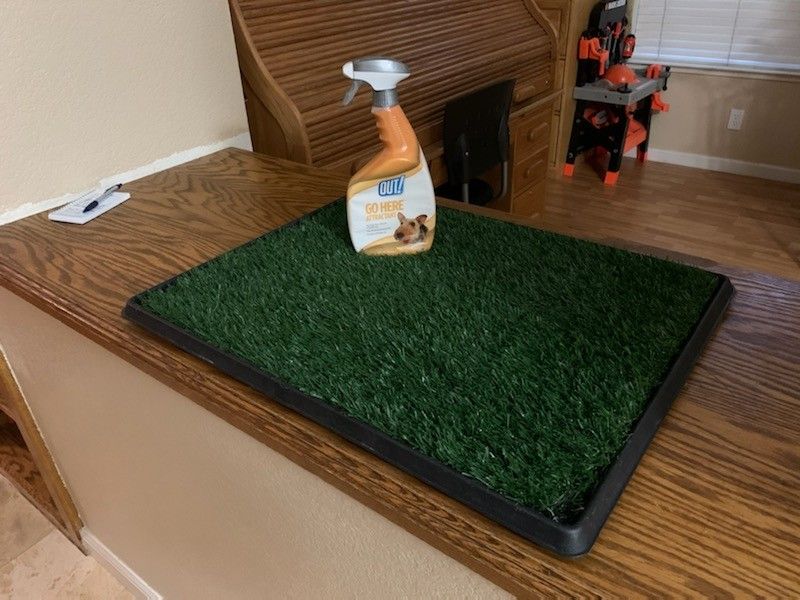 Puppy training pad