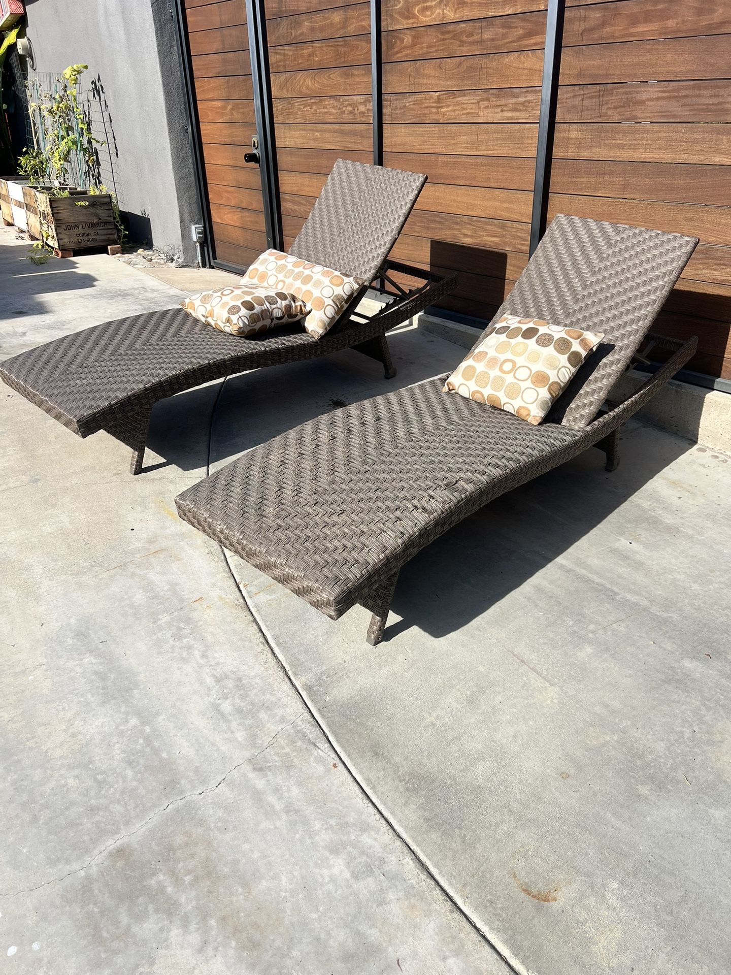 Lounge Chairs