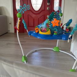 Baby Einstein Bouncer 