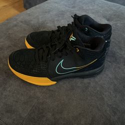 Nike Kobe 4 Protro FTB Snake Size 7