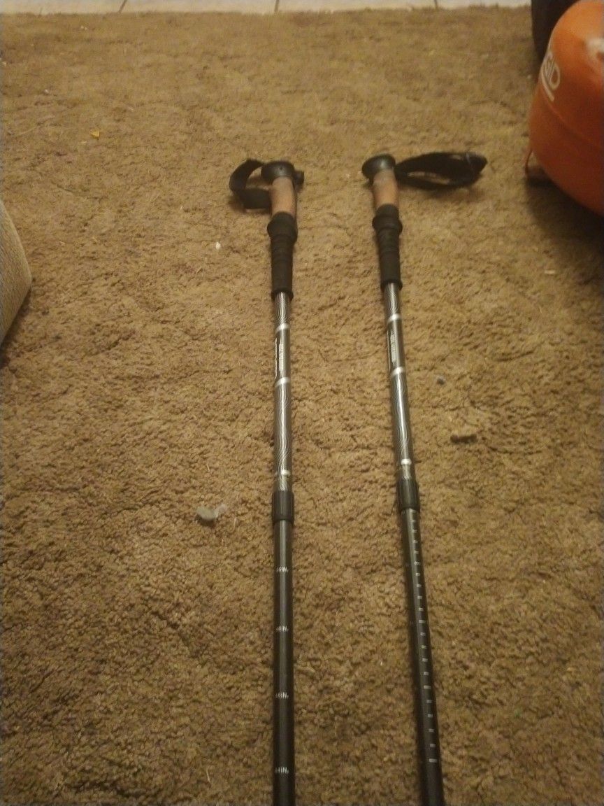 Cascade Mountain Tech Hiking Stick's 