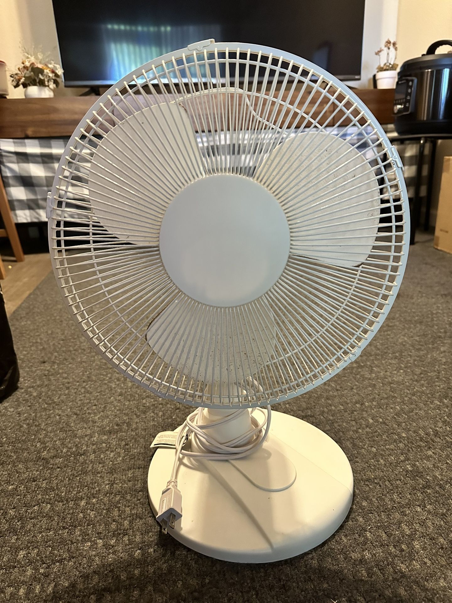 Small Fan