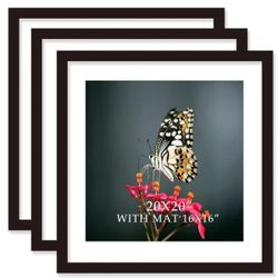 x20 Solid Wood Picture Frames with Mat 16x16 Black 3 Pack