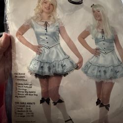 Alice in Wonderland Adult Large