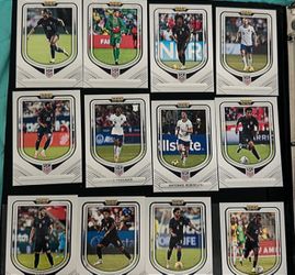 Panini USA soccer ⚽️