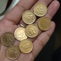 8 indian head penny 