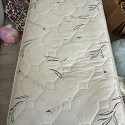 2 FREE TWIN MATTRESSES