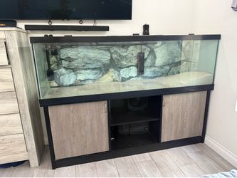 125 Gallon Fish Tank