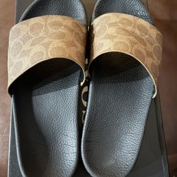 Coach Slides 8 Women’s 