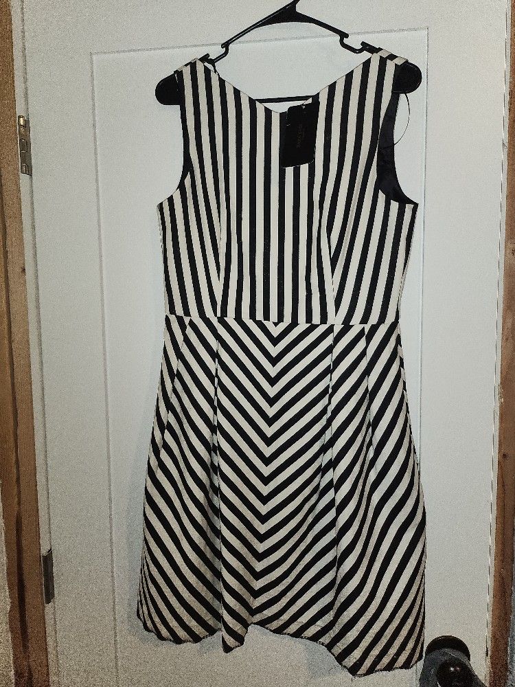 Zara Dress (New)
