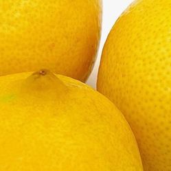 Limones Organicos