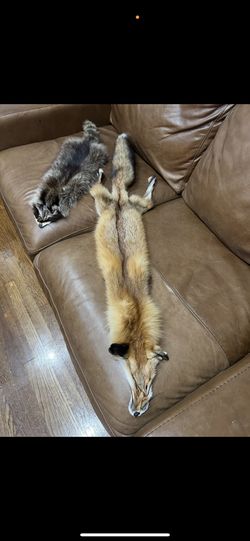 Fur Hides