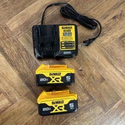 DeWalt 20v XR 5.0 Ah Battery And Charger Kit 