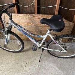 Adults Bike