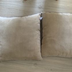 Couch Pillows 