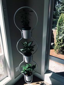 Ikea Plant Stand $18