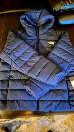 The North Face Puffer Jacket with Hood