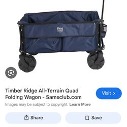 Collapsible Wagon Sam’s Club 