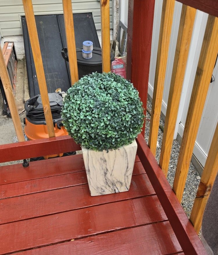 Faux Plant