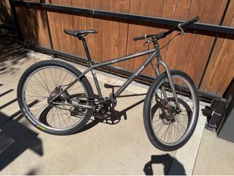 Raleigh XXIX belt drive 29er hardtail, MEDIUM.
