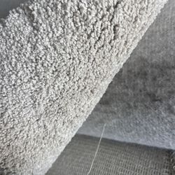 Light Beige Carpet