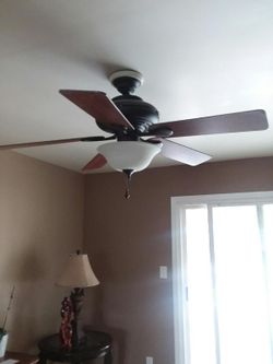 Ceiling fan