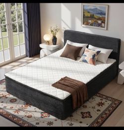 Queen All-in-one Sofa Bed