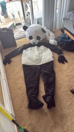 Panda costume