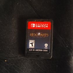 Nintendo Switch Game
