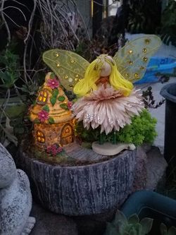 Fairy