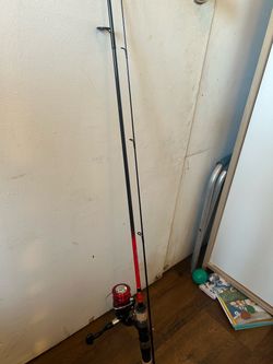 Fishing rod and reel