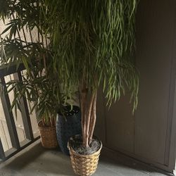 Outside faux Trees