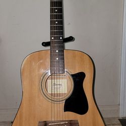 Ibanez Acoustic Guitar