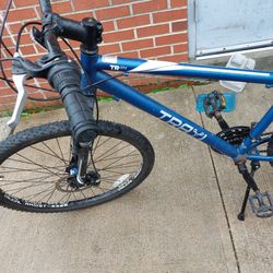 Trayl Mountain Bike