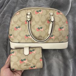 Coach purse & wallet set