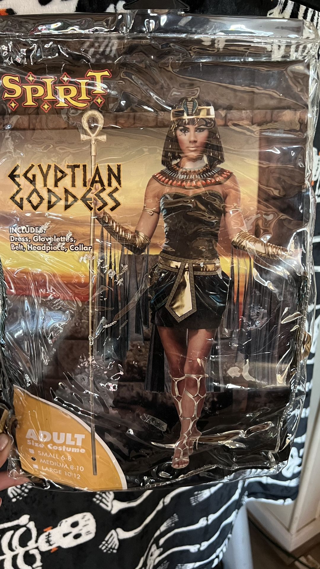 Egyptian Goddess Costume