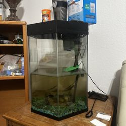 25 Gallon Vertical Fish Tank